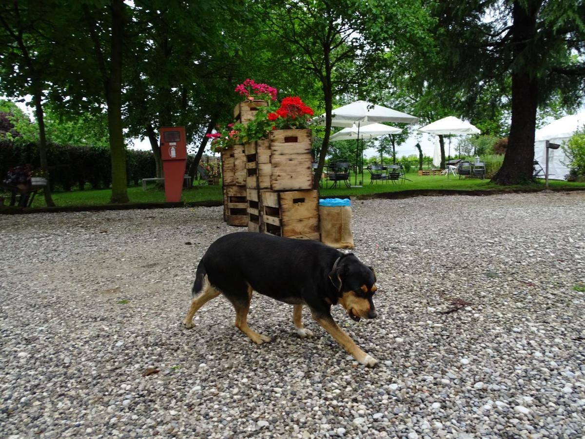 Agriturismo Le Oche Selvatiche Lauzacco Exterior foto